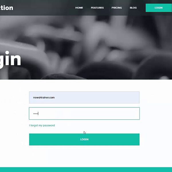 ONLINE PLATFORM PT DISTINCTION